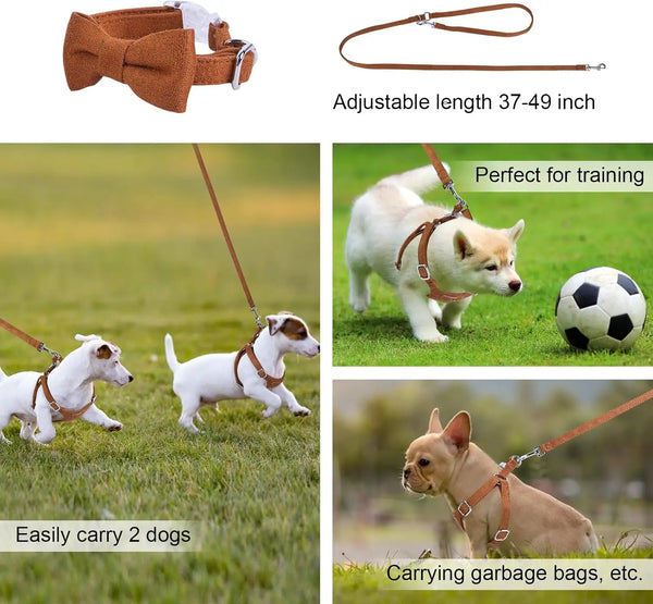 Dog Harness & Leash Set
