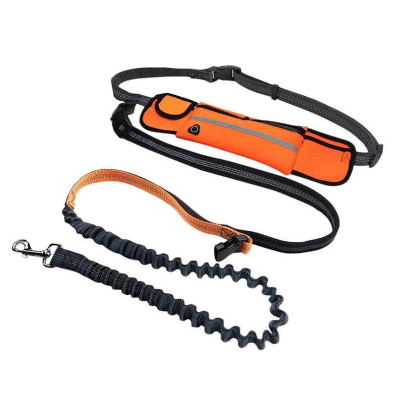 Professional Dog Harness – Adjustable, Comfortable, Durable