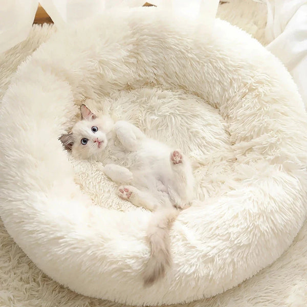 Comfortable Donut Round Dog Bed