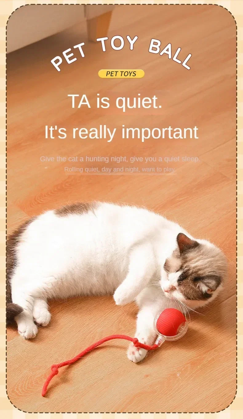 Self-Moving Electric Cat Training Ball