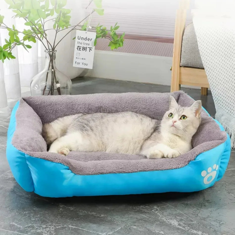 Large Washable Pet Bed & Cushion
