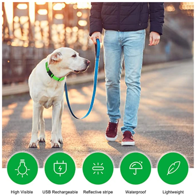 LED Luminous Dog Collar with USB Charging