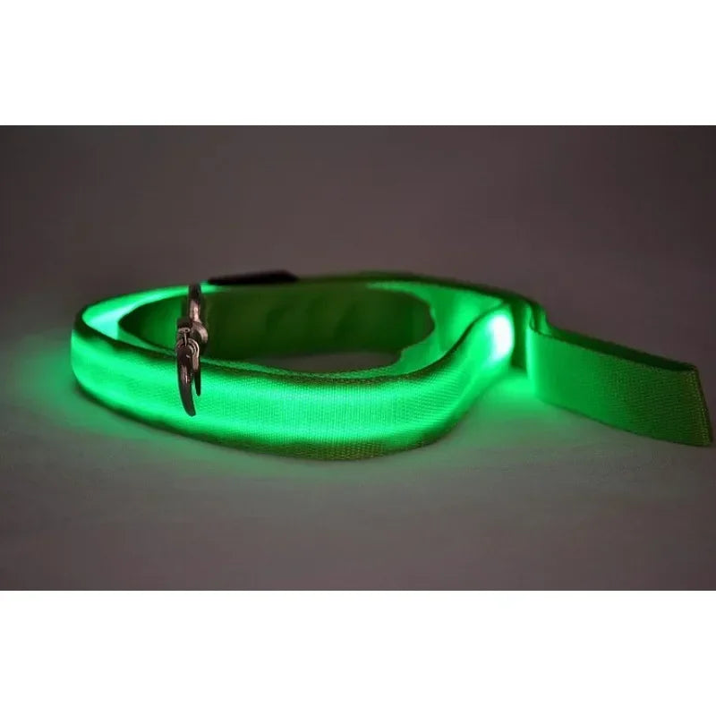 Flashing LED Dog Leash, Harness, Collar