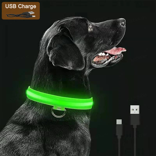 LED Luminous Dog Collar with USB Charging