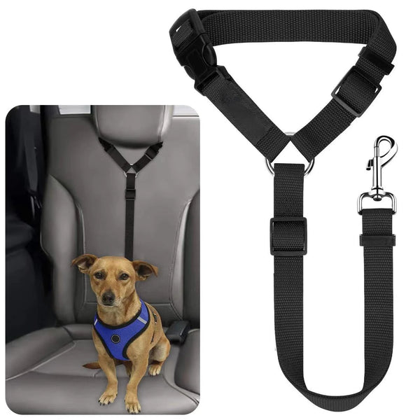 Two-in-One Pet Car Seat Belt & Leash