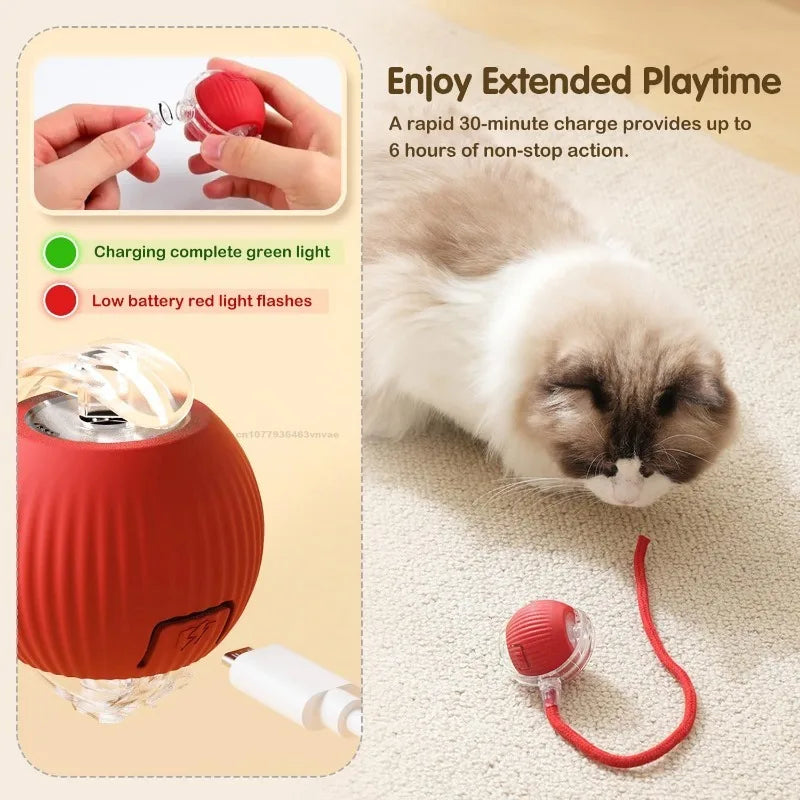 Self-Moving Electric Cat Training Ball