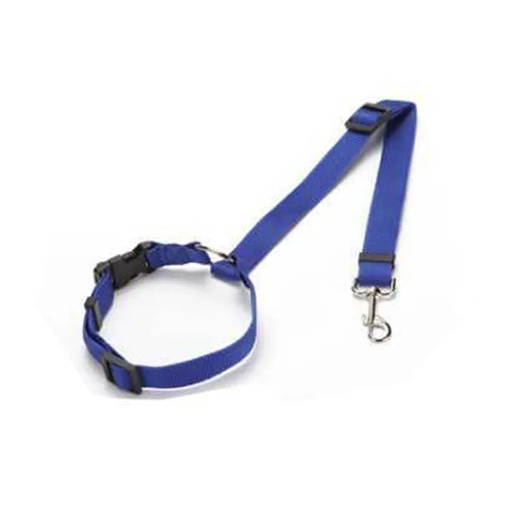 Two-in-One Pet Car Seat Belt & Leash