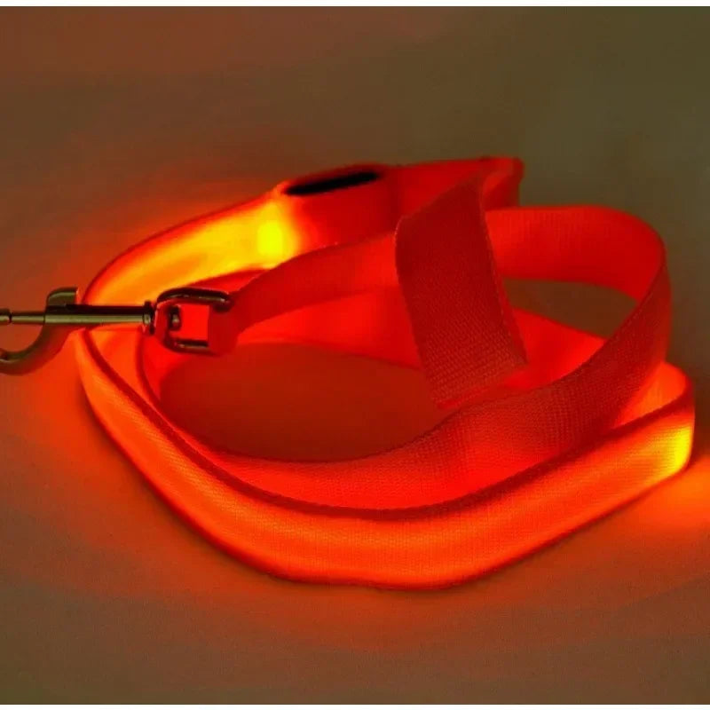 Flashing LED Dog Leash, Harness, Collar