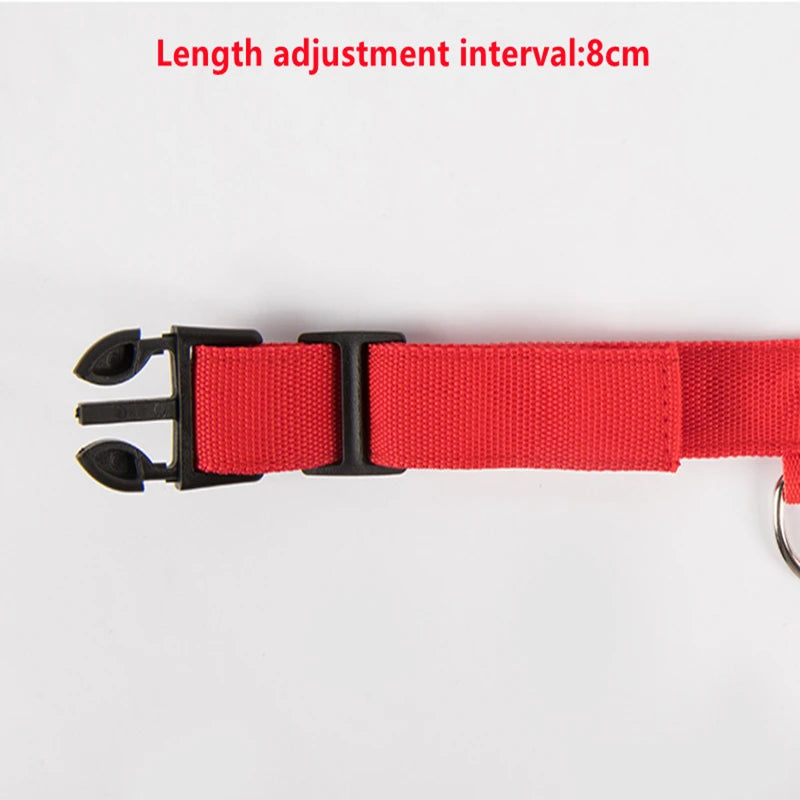 LED Luminous Dog Collar with USB Charging