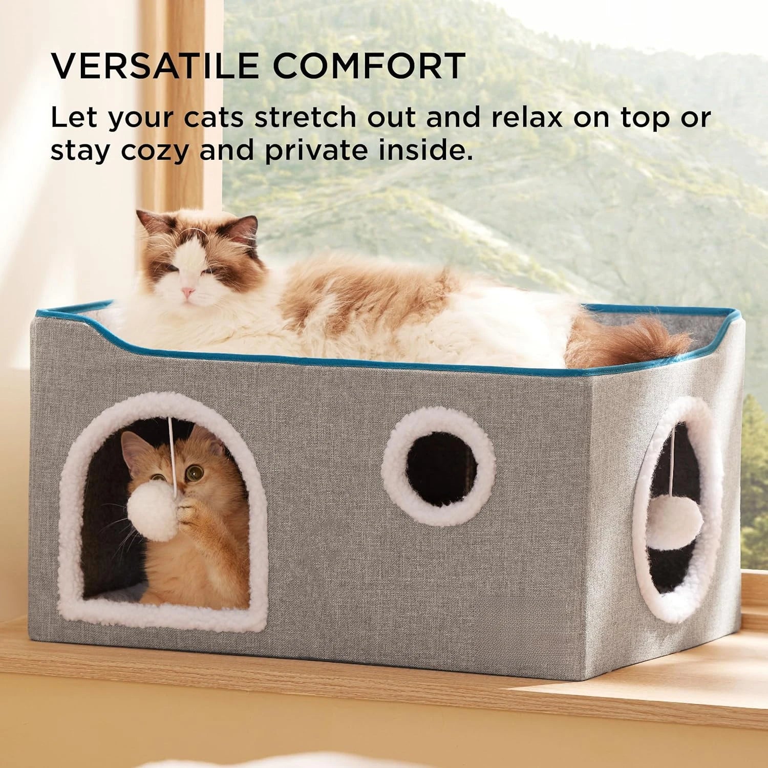 Wide Cat House for Indoor Cats