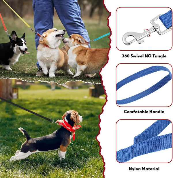 12 PCS Multicolored Nylon Puppy Training Slip Leash
