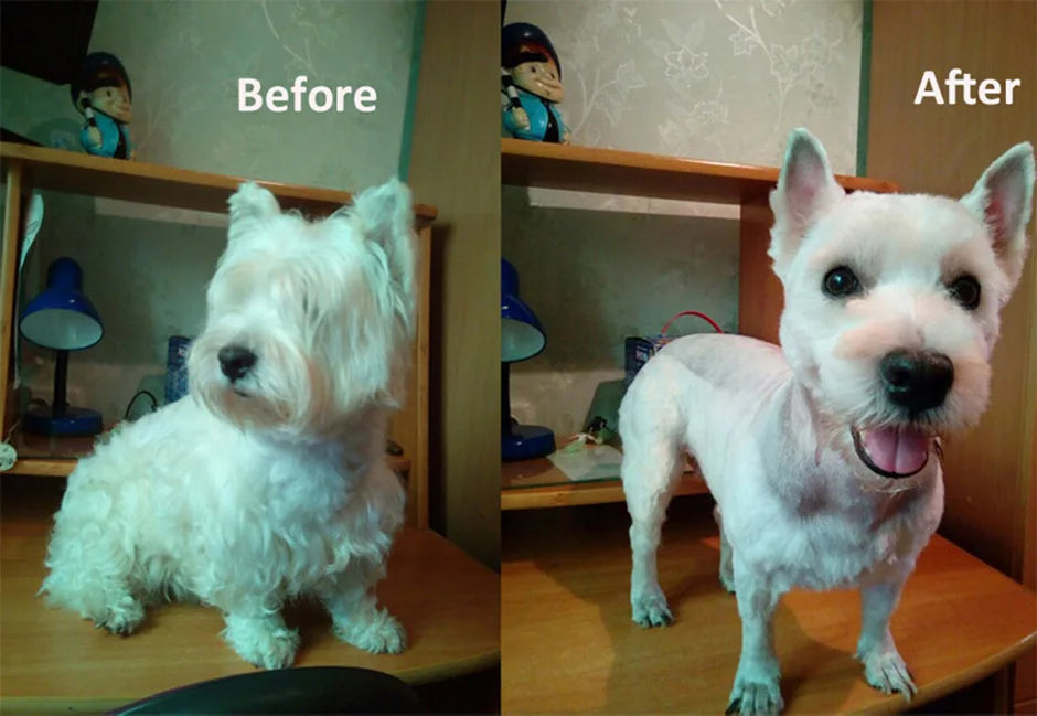 Professional Rechargeable Pet Hair Clipper – Low Noise, All-Metal Design