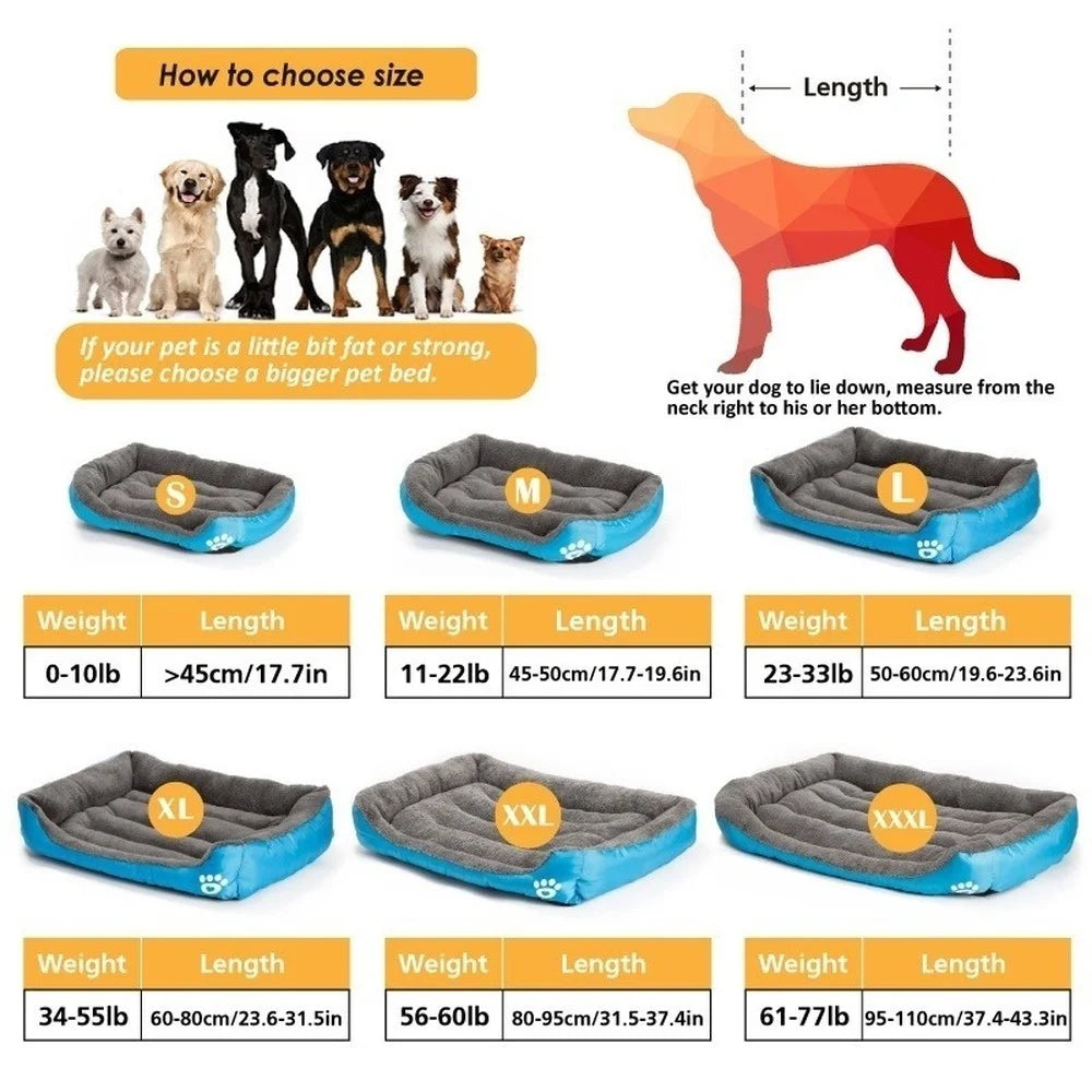 Large Washable Pet Bed & Cushion