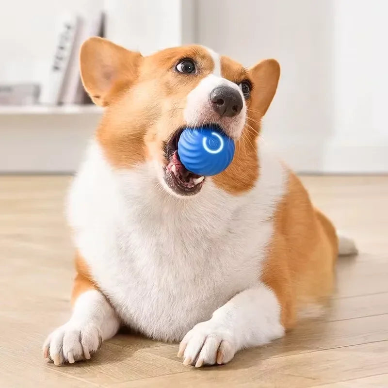Intelligent Gravity Jump Ball for Pets