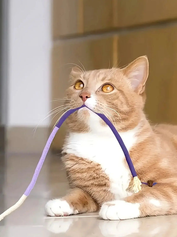 Cat Bite Rope Toy