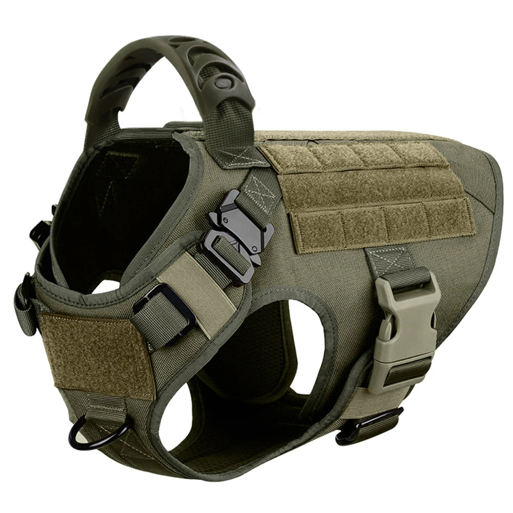 Large Dog Harness & Leash Set
