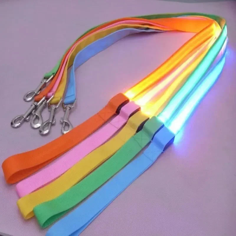 Flashing LED Dog Leash, Harness, Collar
