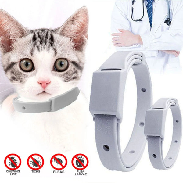 Anti-Flea & Tick Collar