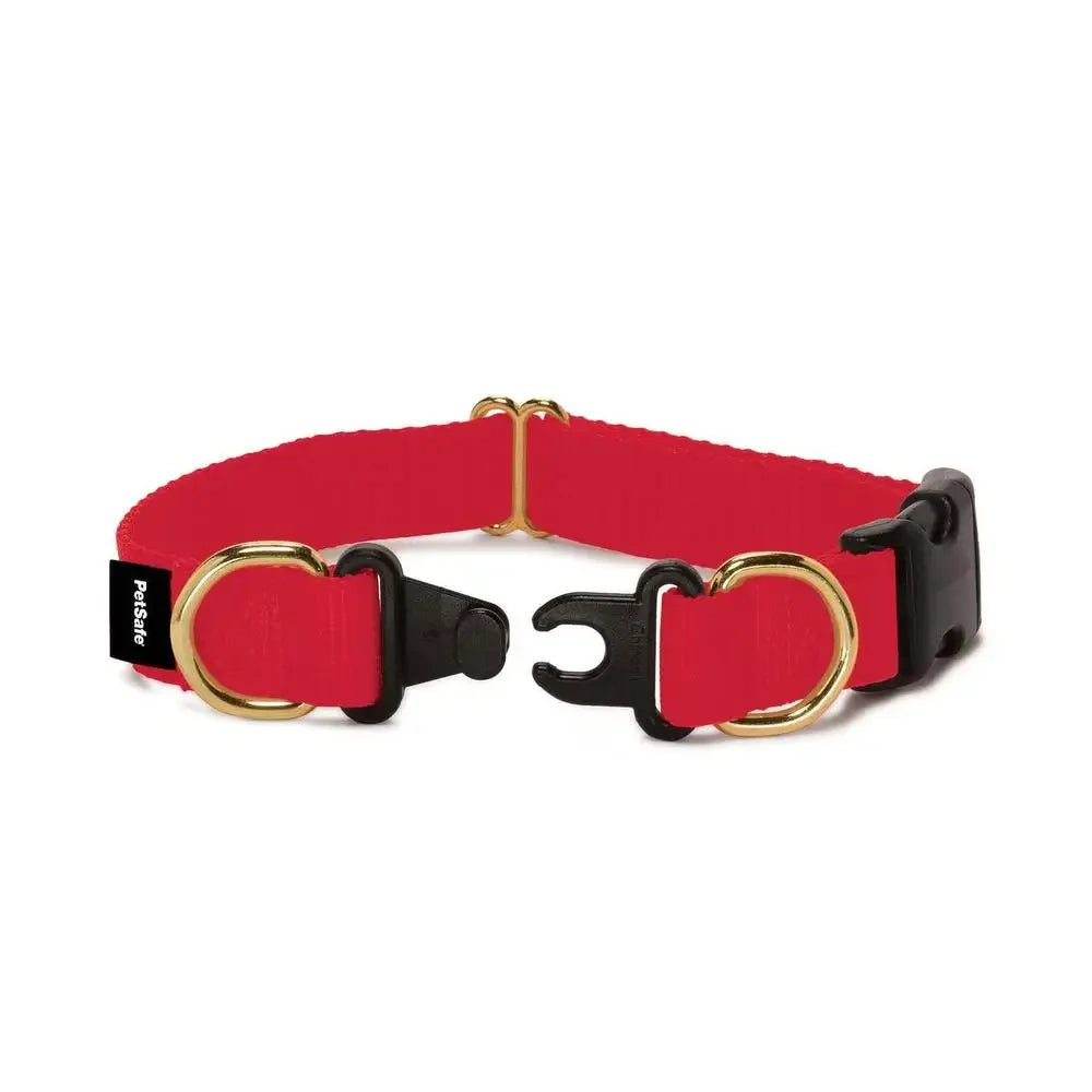 Break-Away Dog Collar